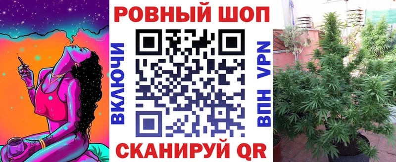ГАШ Вичуга