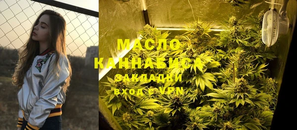 крисы Алексин