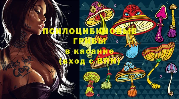 крисы Алексин