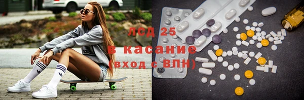гидропоника Алзамай