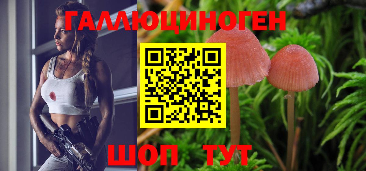 Галлюциногенные грибы Magic Shrooms Вичуга